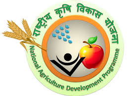 pradhan mantri rashtriya krishi vikas yojana (pm rkvy).