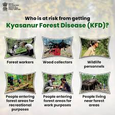 kyasanur forest disease