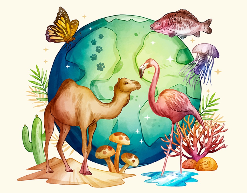 imgi 2 eo blog july 24